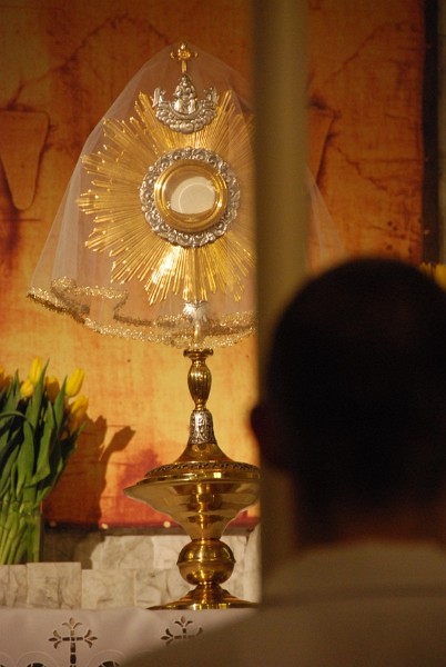 DSC 0374 [900x600 jalbum]