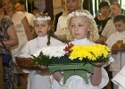 IMG 7268